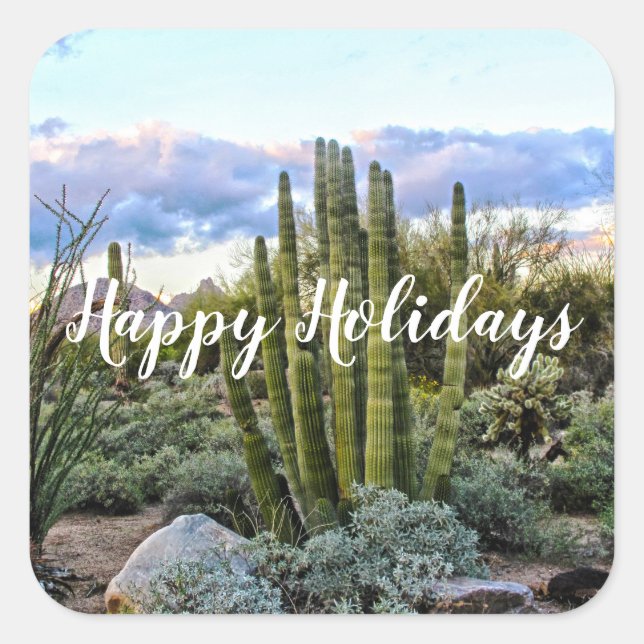 Scottsdale Succulent Sunset, Happy Holidays Square Sticker (Front)