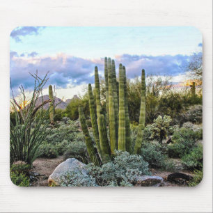 Scottsdale Succulent Sunset Mouse Pad