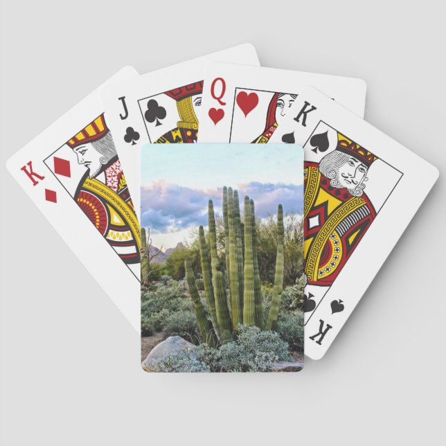 Scottsdale Succulent Sunset Playing Cards (Back)