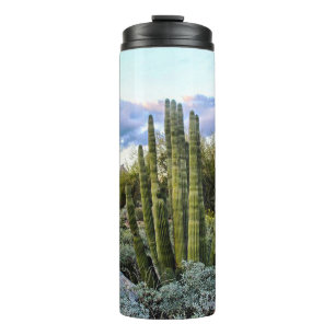Scottsdale Succulent Sunset Thermal Tumbler