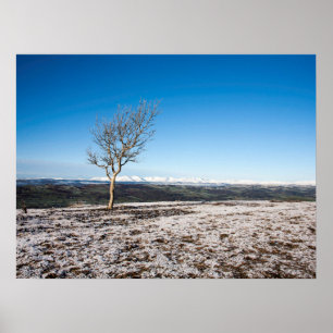 Scout Scar Holiday Card Poster