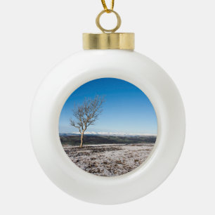 Scout Scar Holiday Card Poster Photo Block Snow Gl Ceramic Ball Christmas Ornament