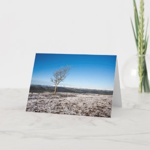 Scout Scar Winter Day Thank You Card
