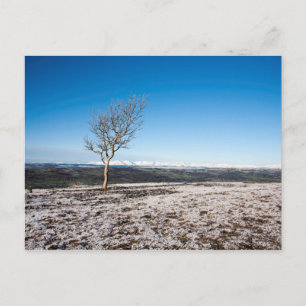 Scout Scar Winter Lake Distrct England Postcard
