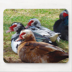 Scovies Mouse Pad