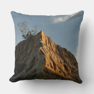 Scraggly Torrey Pine at Sunset California Coast Cushion
