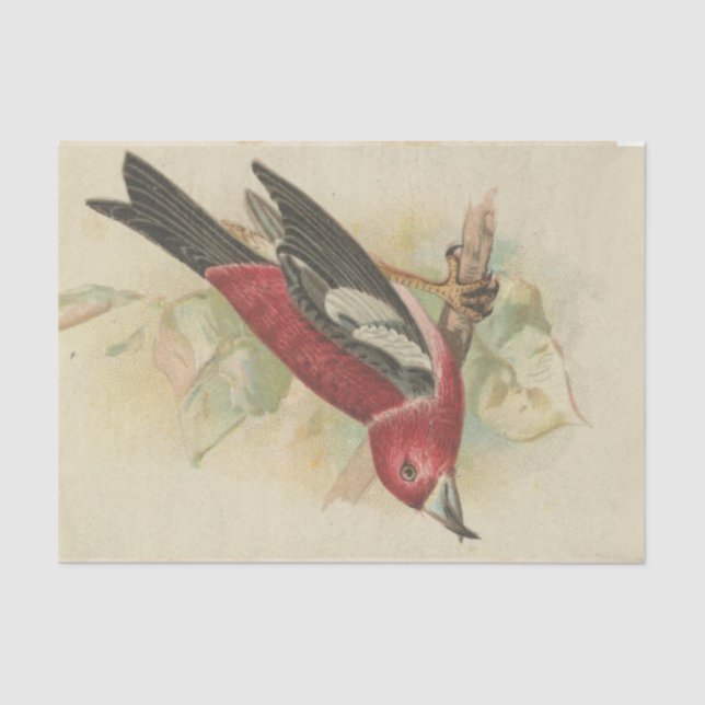 Scrap Ephemera  Design Series #24 Tissue Paper (Front)