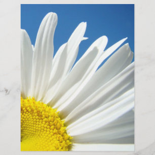 Scrapbook paper Designer Floral Daisy Flowers