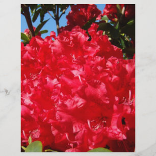 Scrapbooking paper Red Rhodies Summer