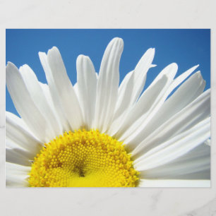 Scrapbooking paper White Daisy Flower Blue Sky