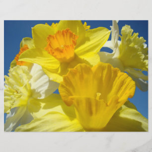 Scrapbooking paper Yellow Daffodils Flowers
