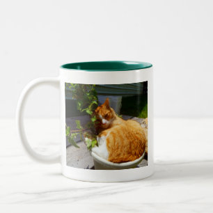 Scrapper in a pot Two-Tone coffee mug