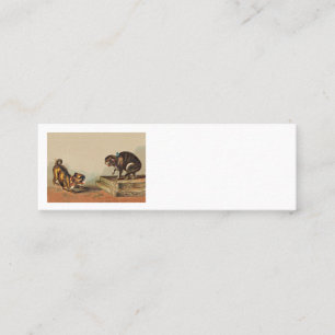 Scrappy Pug and Kitty Loyalty Card