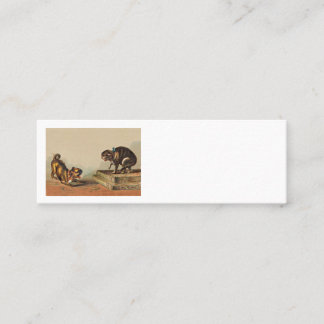Scrappy Pug and Kitty Loyalty Card