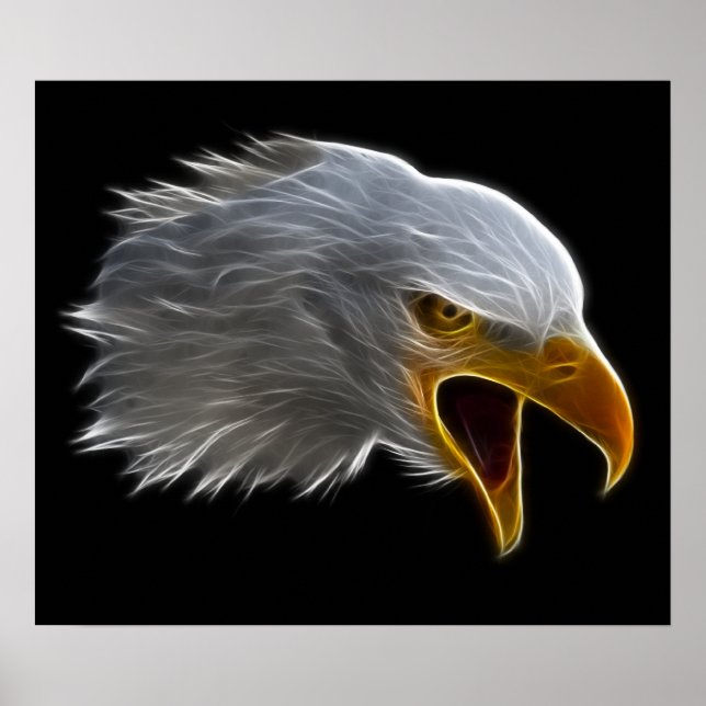 Screaming American Bald Eagle Head Poster (Front)