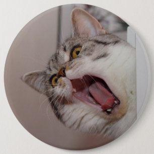 Screaming British Shorthair 6 Cm Round Badge