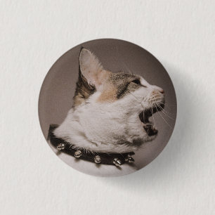 Screaming Calico Cat Pin