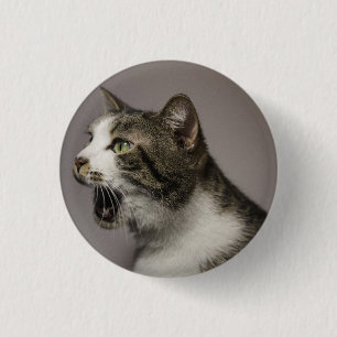 Screaming Cat Pin