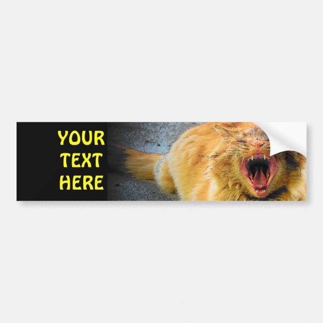 Screaming Cat Plus your text Bumper Sticker (Front)