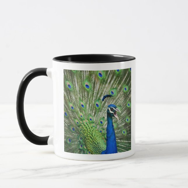 Screaming peacock mug (Left)