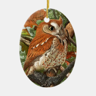 Screech Owl (brown phase) Ceramic Tree Decoration