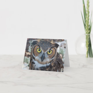Screech Owl Card