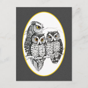 Screech Owl Family Postcard