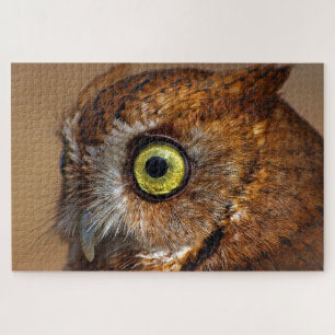 Screech Owl in Pieces Jigsaw Puzzle