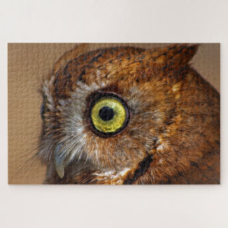 Screech Owl in Pieces Jigsaw Puzzle