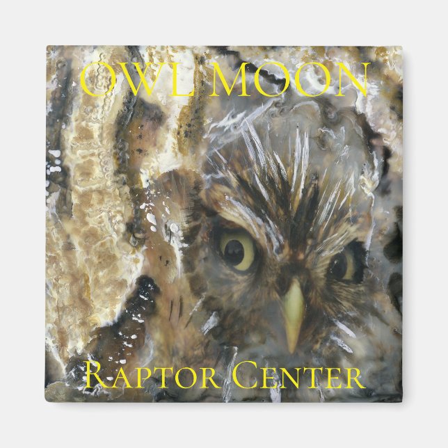 Screech Owl Magnet (Front)