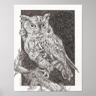 Screech Owl Poster