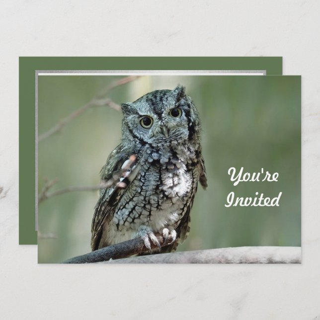 Screech Owl Tree Branch Photo Birthday Invitation (Front/Back)