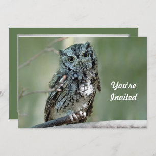 Screech Owl Tree Branch Photo Birthday Invitation