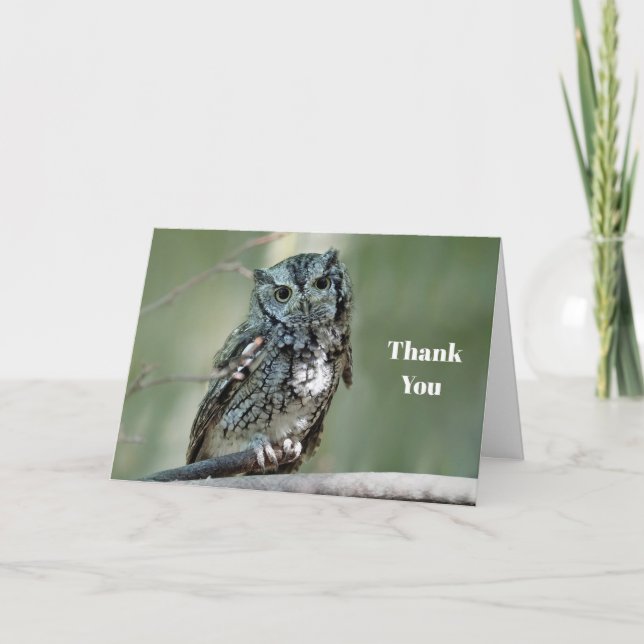 Screech Owl Tree Branch Photo Thank You Card (Front)