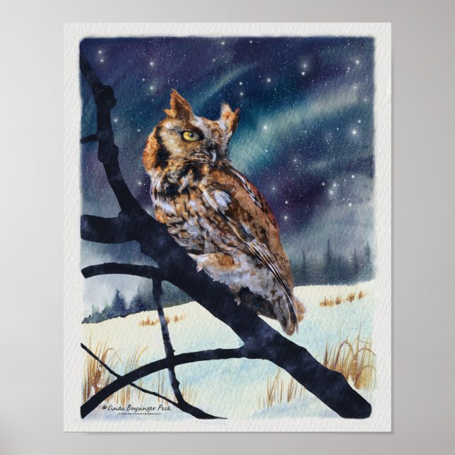 Screech Owl Winter Night Poster (Front)