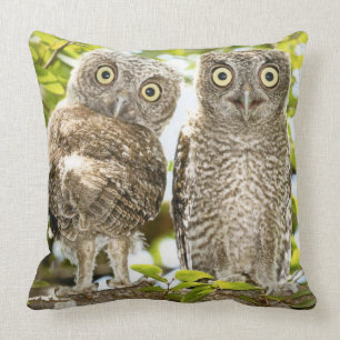 Screech Owls Chicks 2 Cushion