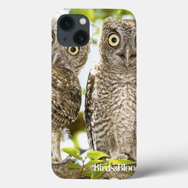 Screech Owls Chicks Case-Mate iPhone Case (Back)
