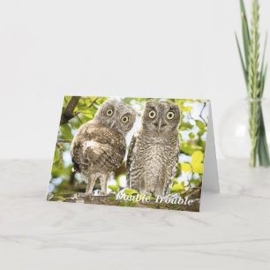 Screech Owls Chicks Holiday Card