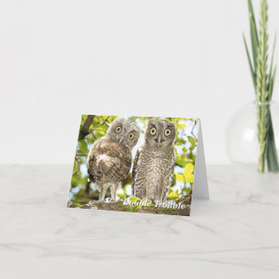 Screech Owls Chicks Holiday Card
