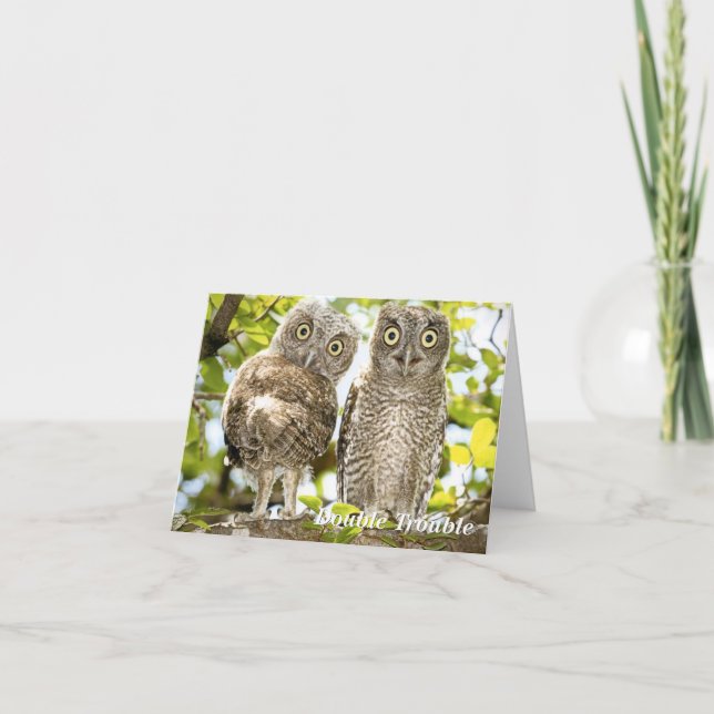 Screech Owls Chicks Holiday Card (Front)