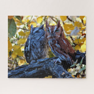 Screech Owls Jigsaw Puzzle