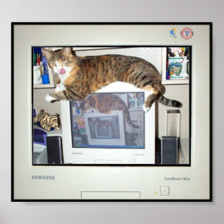 Screen Savour Prints