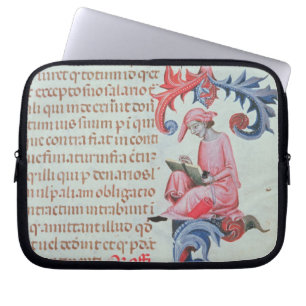 Scribe or chronicler, possibly a self portrait of laptop sleeve