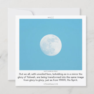 SCRIPIX TEMPLATE