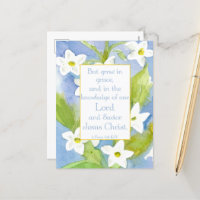 Scripture 2 Peter 3:18 Nicotiana Flowers