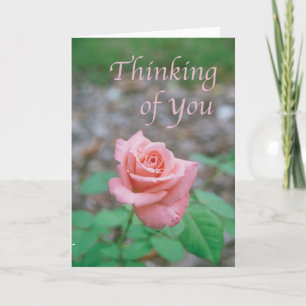Scripture card -- "Thinking of you" with rose