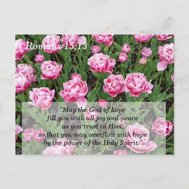 Scripture Meditation and Memory Card (Front)