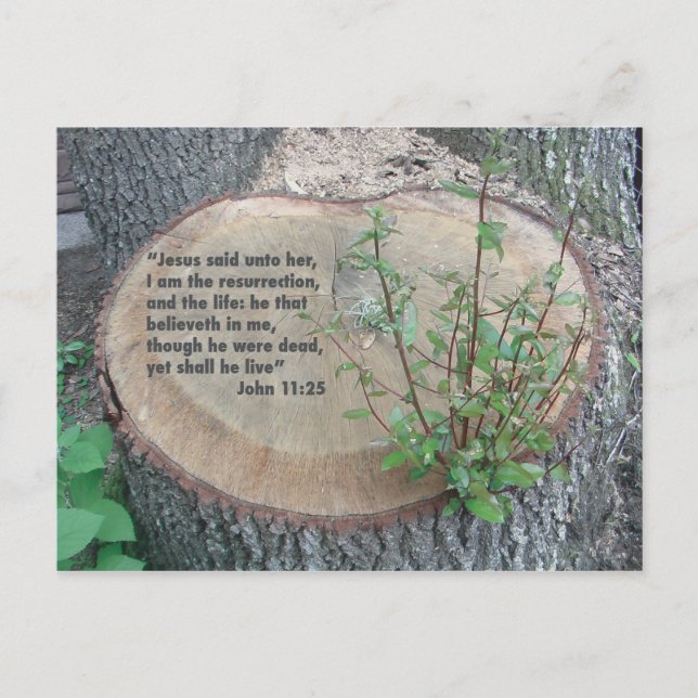 Scripture postcard (Front)