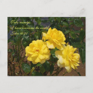 Scripture postcard I have overcome the world