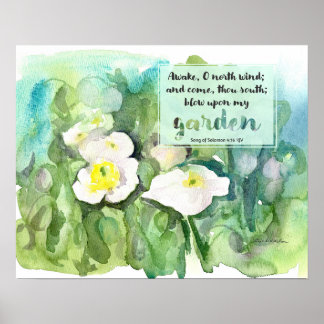 Scripture Song of Solomon White Poppies  Poster